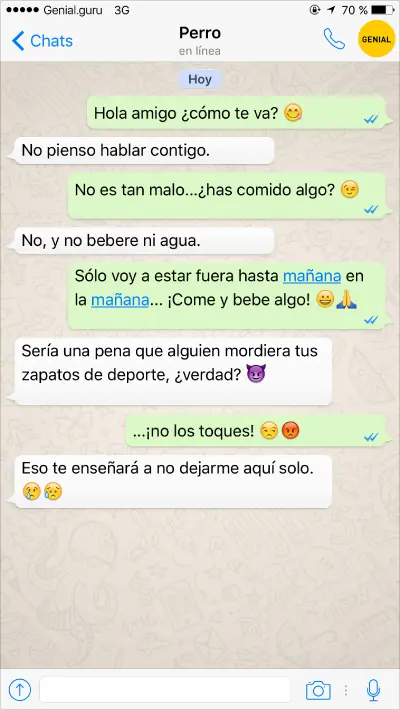 perros