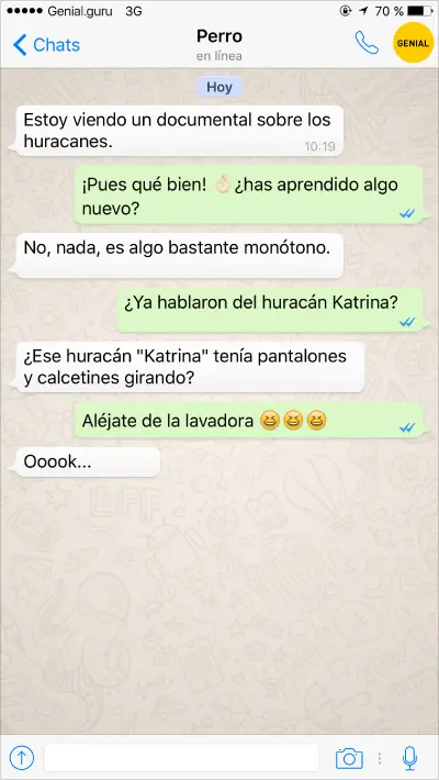 Conversaciones de un perro y su dueño