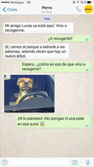 mejor amigo del hombre