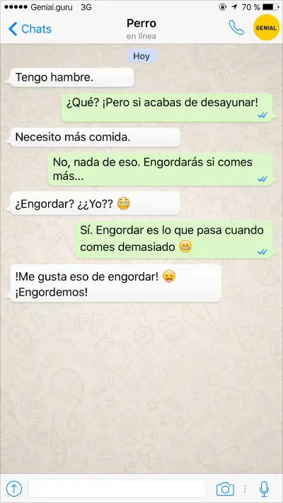 mejor amigo del hombre