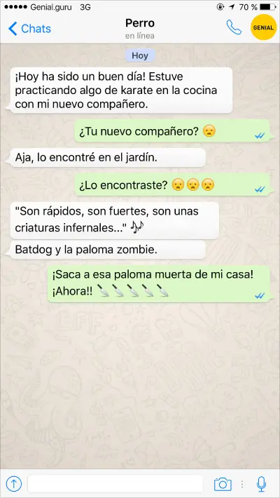 amigo
