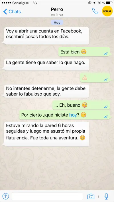 amigo
