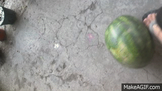 Virgopost mi sandia y yo