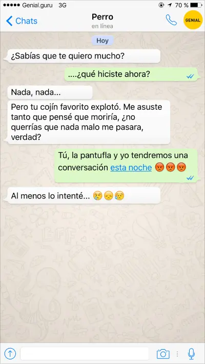 perros