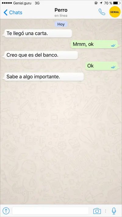 perros