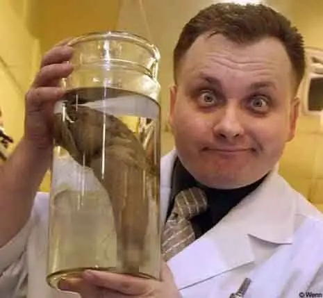 El pene humano mas grande de la historia