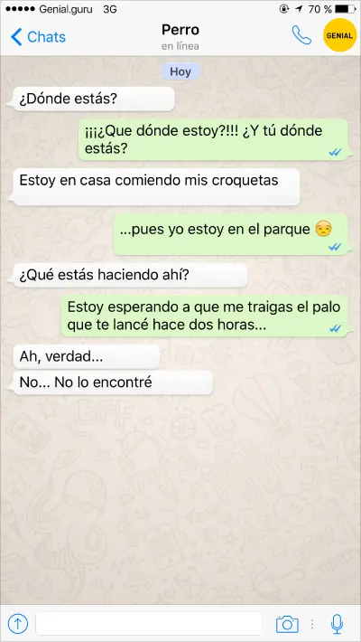 Conversaciones de un perro y su dueño