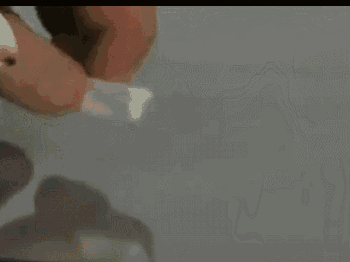 Shout Gif