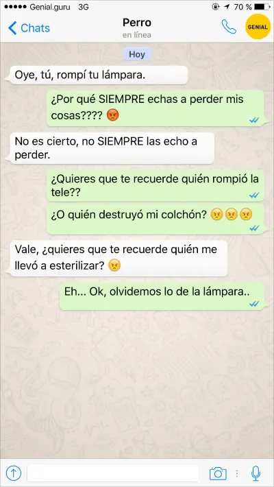 amigo
