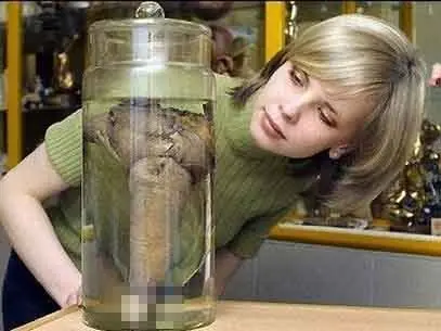 El hombre más bien proporcionado de la historia es…