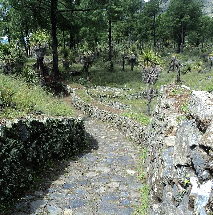 comercio prehispanico comercio prehispanico