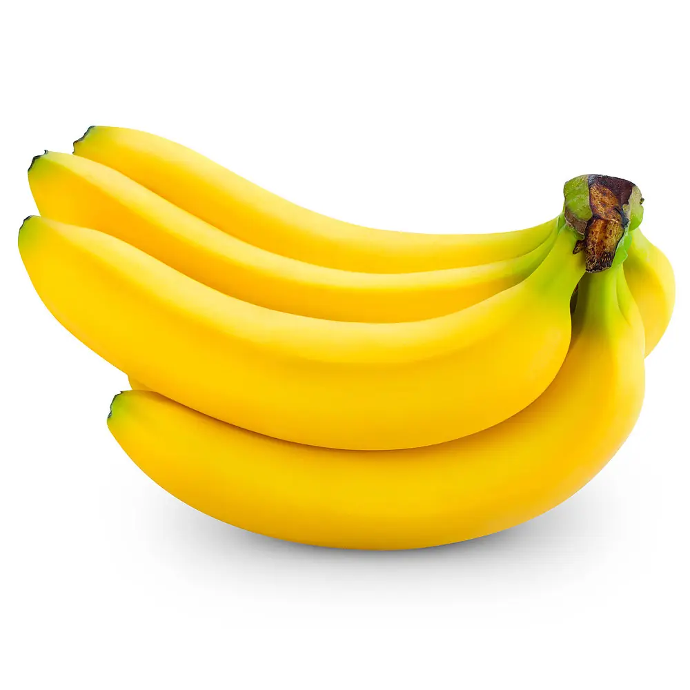 Campanita