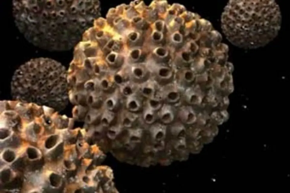 Vacunas para Virus papiloma humano, todo lo que debes saber.