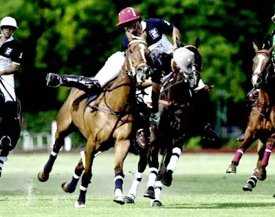 Para que conozcas un poco mas sobre el deporte Polo Megapost
