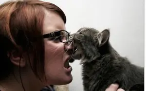 ¿Por qué mi gato me muerde?
