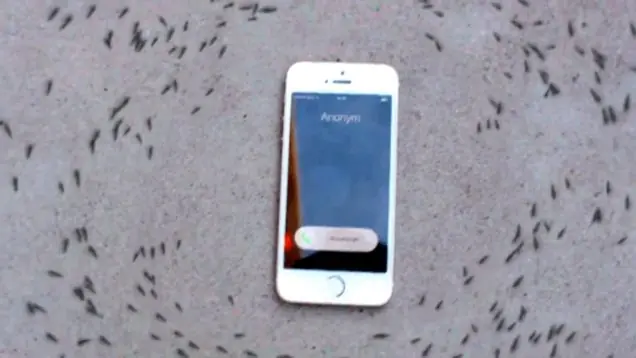 iphone iphone