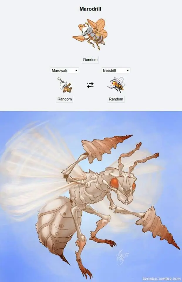 pokemon
