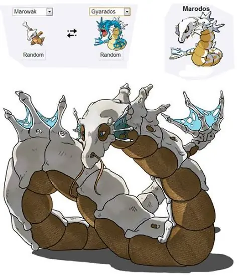 pokemon