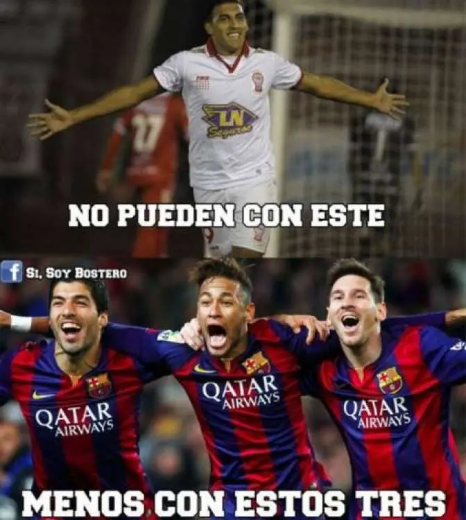 gallina