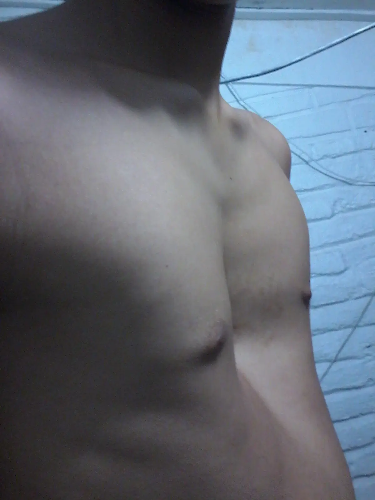 Pechohundido