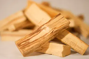 Aprendé que es el Palo Santo, Madera Sagrada Aprendé que es el Palo Santo, Madera Sagrada