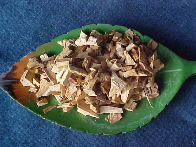 Shamanes