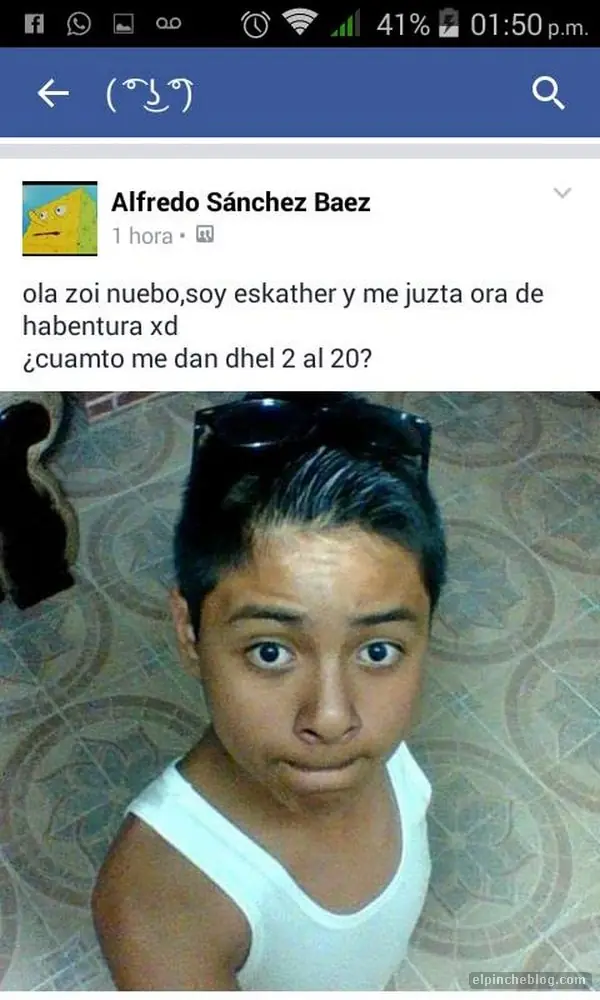 pichi