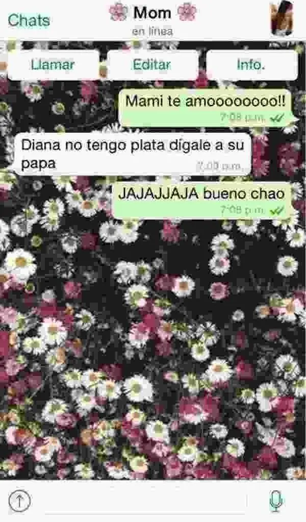 chistoso