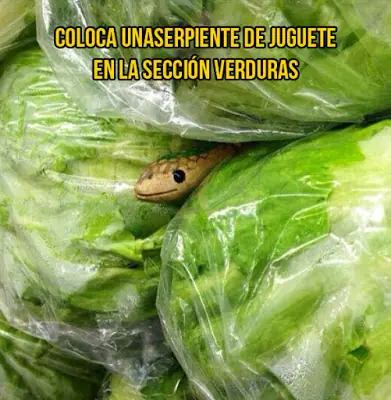 bromas bromas