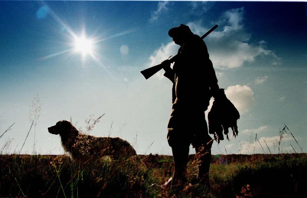 cosas nazis que usamos sin saberlo