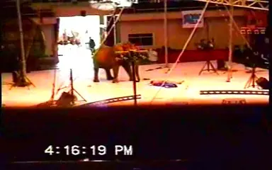 Muerte Muerte