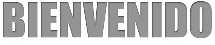 La Ciudad inauguró el nuevo entorno del Barrio Chino