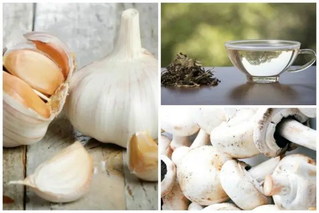 6 alimentos BLANCOS que te ayudarán a desintoxicarte...