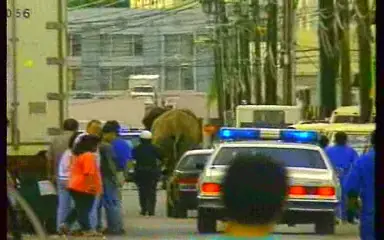 ejecucion ejecucion