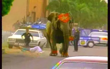 asesinato asesinato