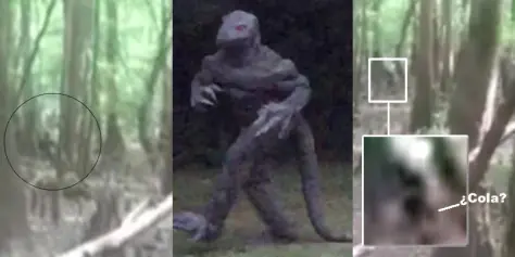hombre lagarto hombre lagarto