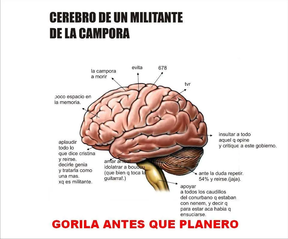 Memes de la campora: si sos militonto no entres