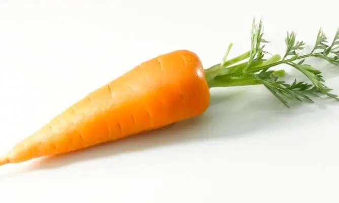 Soy una zanahoria y hoy picaron a una vieja. Te cuento