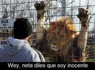 graficos