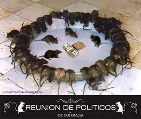 imagenes