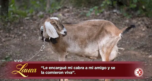 The Walking Dead
