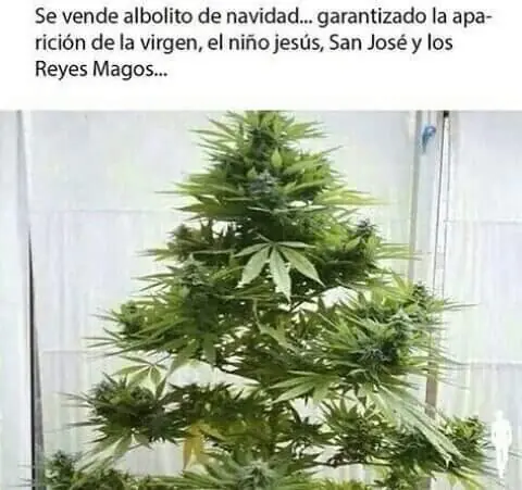chistes