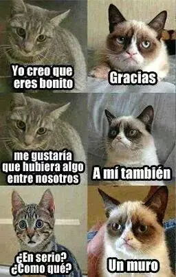 memes
