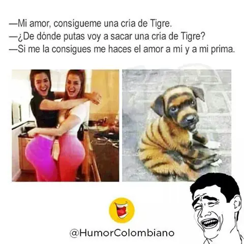 memes