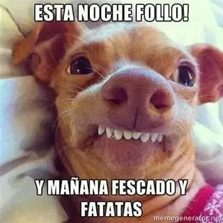 humor