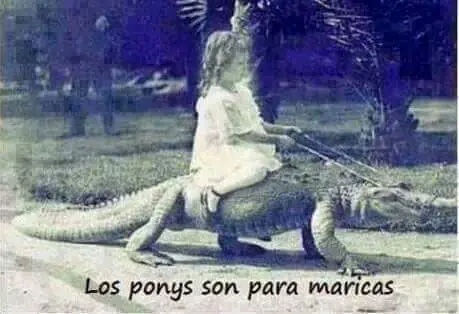 chistes