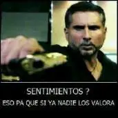memes