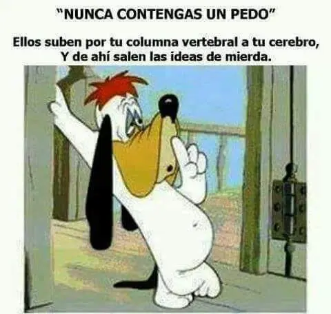 imagenes