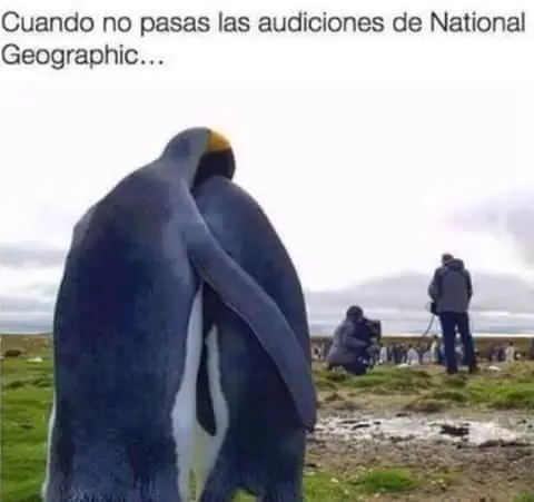 humor