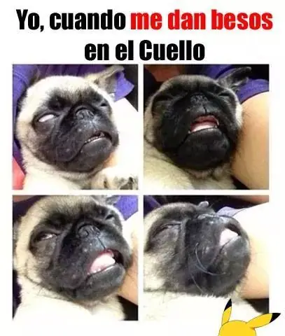 humor
